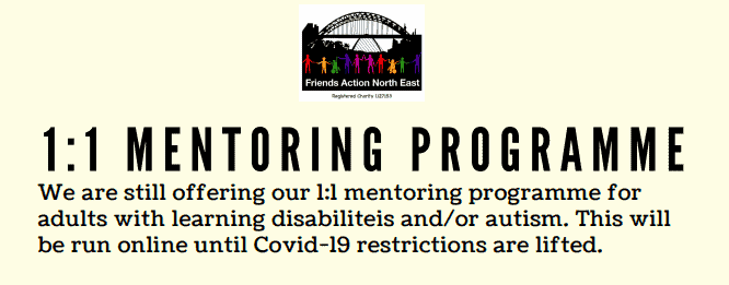 Friends Action Mentoring Programme