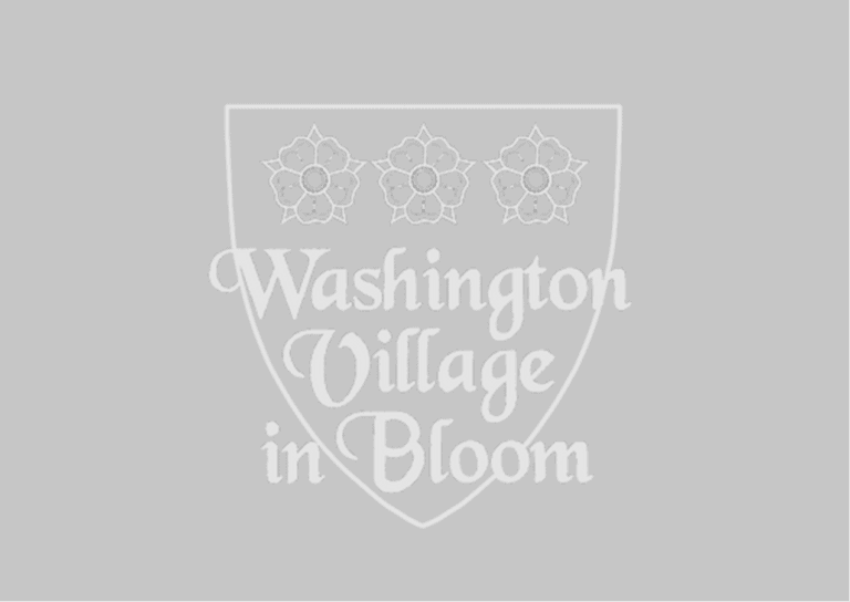 WVIB Logo 768x544