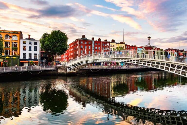 Work Placement In Dublin with MOTW