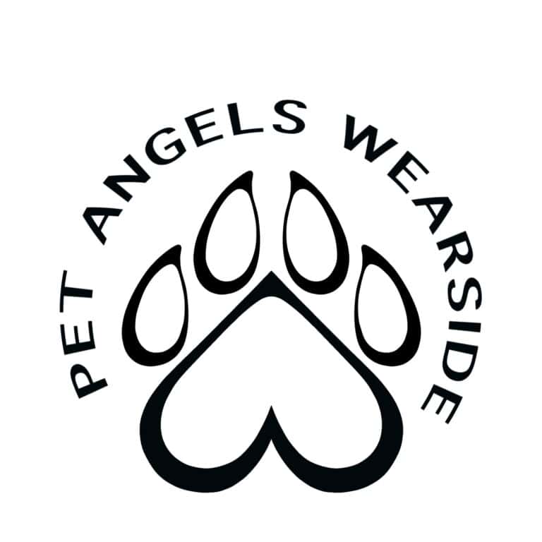 pet angels wearside 768x768