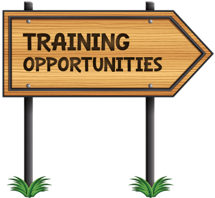 INFORMATION-SUNDERLAND-SOUTH-TYNESIDE_10